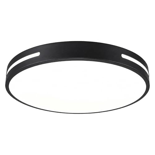 Close to Ceiling Light VC10
