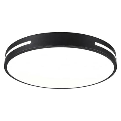 Close to Ceiling Light VC10