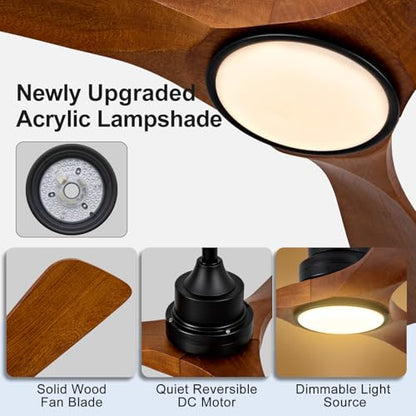 Ceiling Fan with Light