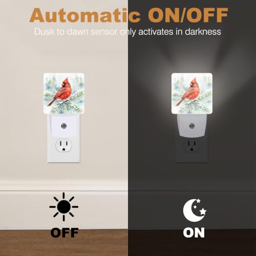 Night Lights Plug into Wall (Cardinal B)
