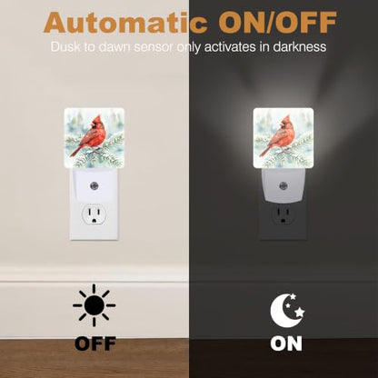 Night Lights Plug into Wall (Cardinal B)