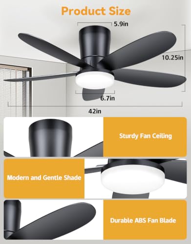 Ceiling Fans with Lights