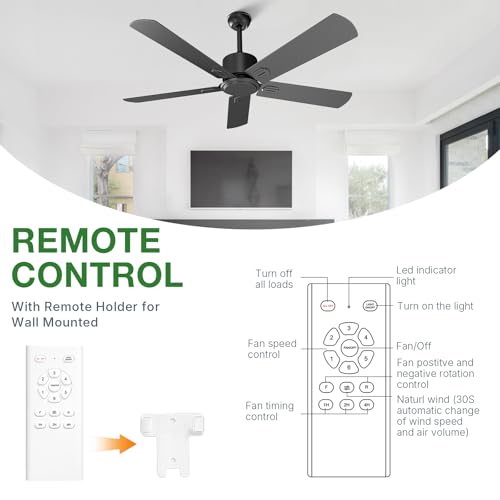 Black Ceiling Fan