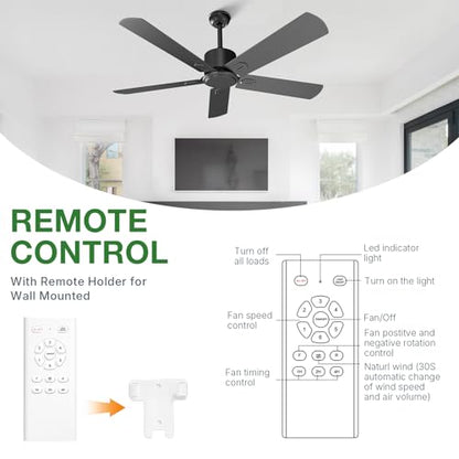 Black Ceiling Fan
