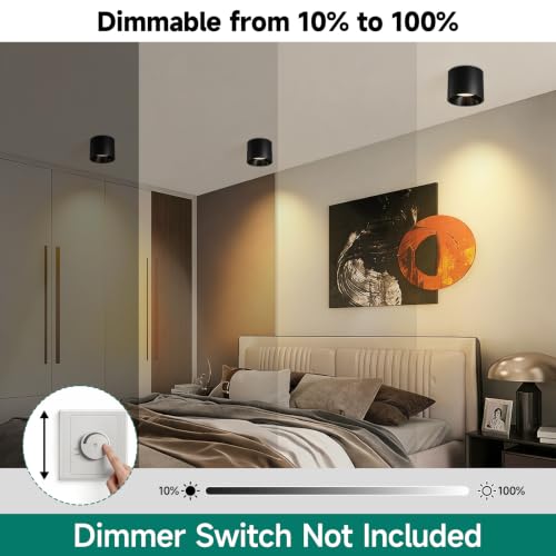 Flush Mount Ceiling Light Fixture