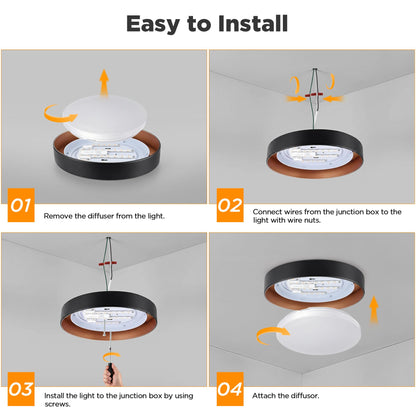 2 Pack Flush Mount Ceiling Light (Matte Black)