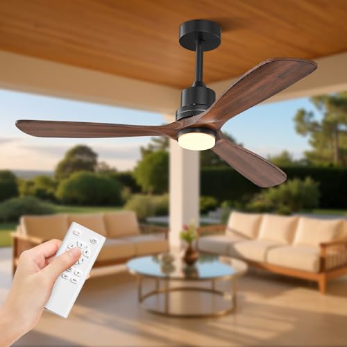 Ceiling Fan and Remote Control Outdoor Ceiling Fan
