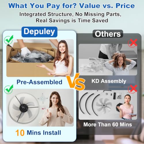 DLLT Modern Ceiling Fans with Lights