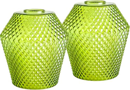 2Pcs Small Glass Lamp Shades