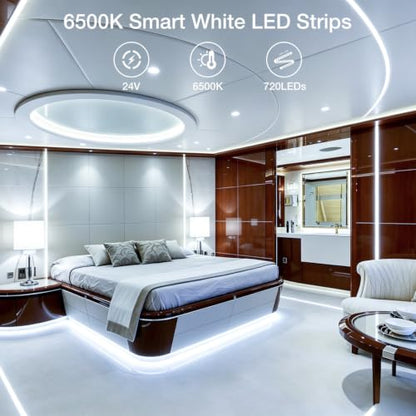 Smart WiFi White LED Lights