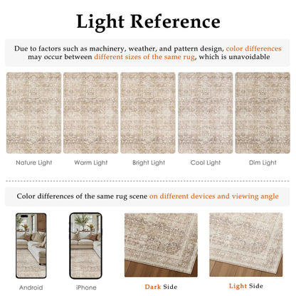 Beige Washable 2x3 Area Rugs for Entryway Hallway (Retro | Beige / 2' x 3' (Rectangular))