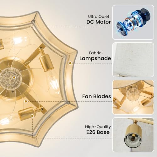20" boho ceiling fan with lights