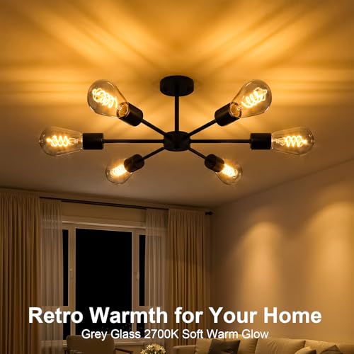 ST64 Edison Bulb E26 Dimmable (6w-2700k Amber Warm White(gray))