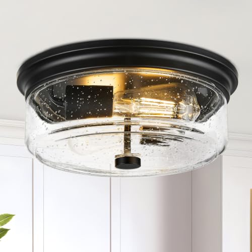 2 Light Flush Mount Ceiling Light Fixtures