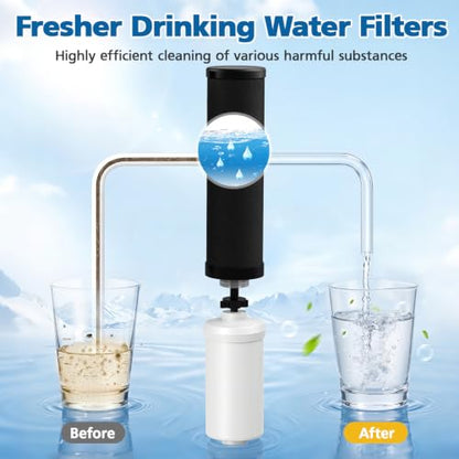 Water Filter Replacement