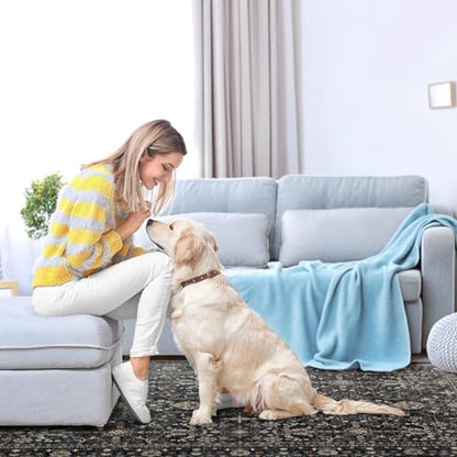 Washable Area Rug 6×9 for Living Room (Dark Gray / 6' x 9' (Rectangular))