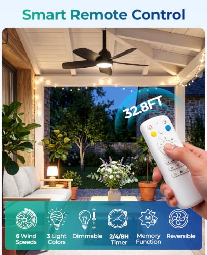 Outdoor Ceiling Fan with Light
