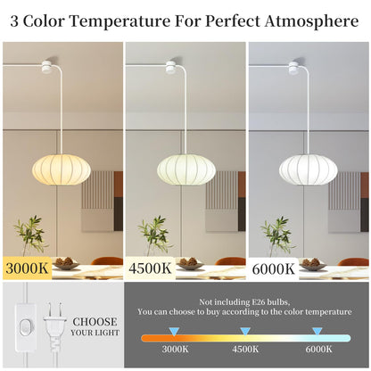11.5in Plug in Lantern Pendant Light (11.5in)