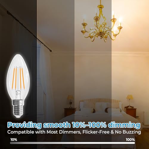 E12 Candelabra Light Bulbs