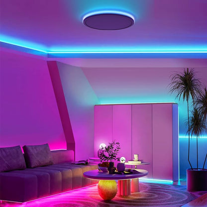 RGB LED Flush Mount Ceiling Light with Remote