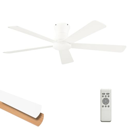 Ceiling Fan No Light