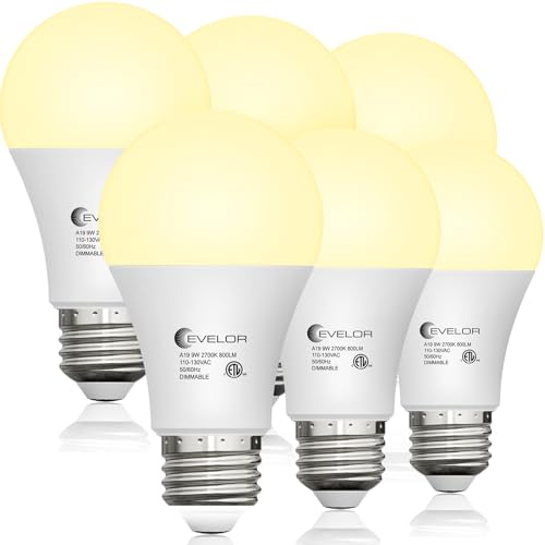 A19 LED Light Bulbs