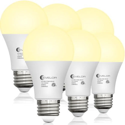 A19 LED Light Bulbs