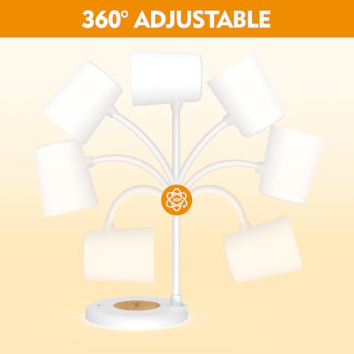 LED Desk Lamp with Speaker 3 Light Colors