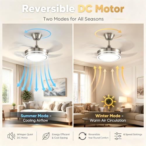 Ceiling Fans with Lights