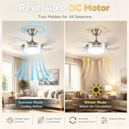 Ceiling Fans with Lights
