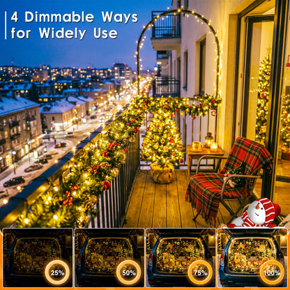 300 LED Christmas Lights Outdoor 98 FT Warm White Remote and Plug (Warm White / 300 LED)