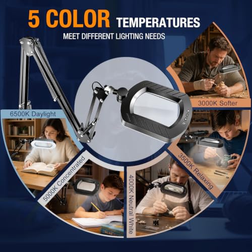 Magnifying Lamp with Light 12X