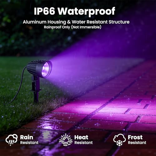 Black Light Outdoor Spotlight