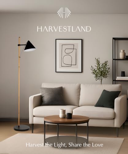 Noah Reading Floor Lamp