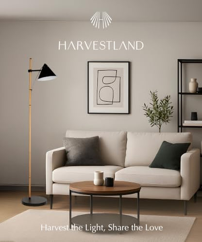 Noah Reading Floor Lamp