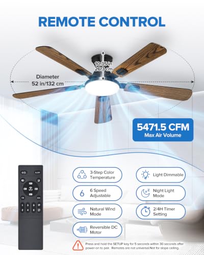 Ceiling Fans with Lights