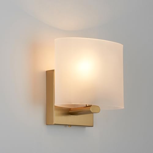 Modern Acrylic Shade Wall Light Fixture