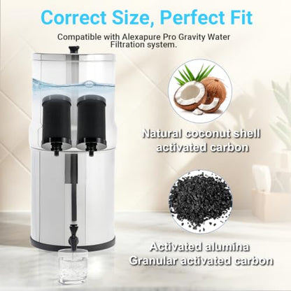 2387 Pro Filter Replacement