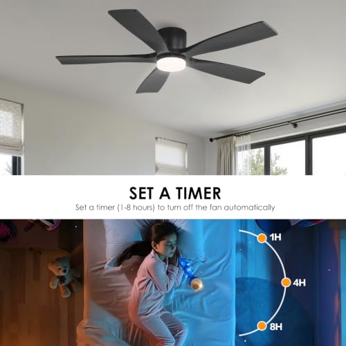 Ceiling Fan with Lights