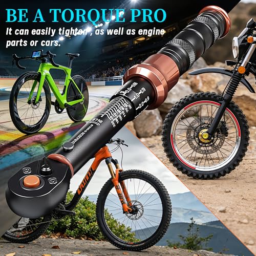 Torque Wrench 1 (1/4" 20-240IN.LB)