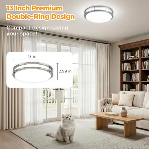 Flush Mount Ceiling Light