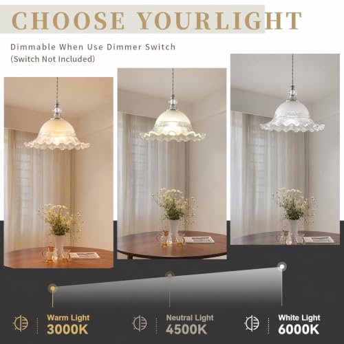 1 Pack Vintage Crystal Pendant Light Fixtures