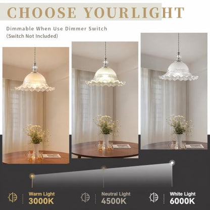 1 Pack Vintage Crystal Pendant Light Fixtures