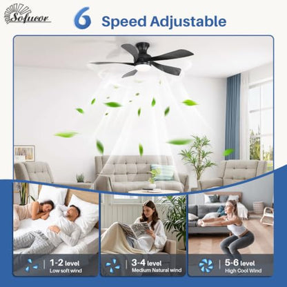 Ceiling Fans with Lights and Remote
