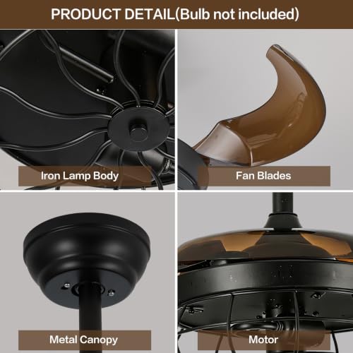 Caged Ceiling Fan
