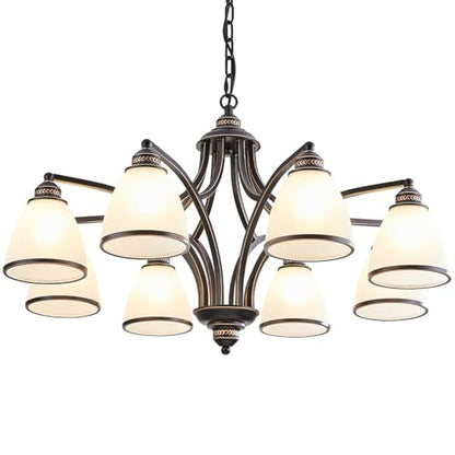 6 Light Chandelier