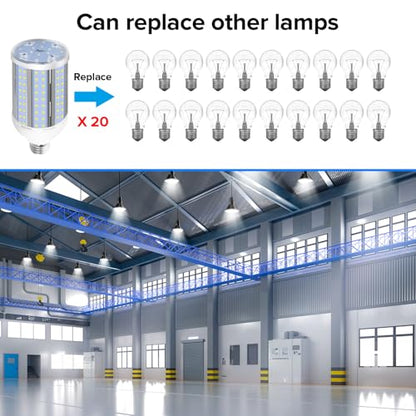 Led Bulb 6000K Cool Daylight White E26