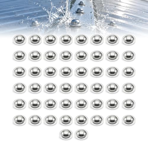 Metal Roof Screw Caps