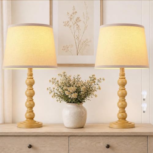 Traditional 21" Rustic Table Lamp Set of 2 for Living Room