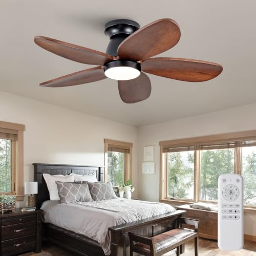 Ceiling Fan with Light